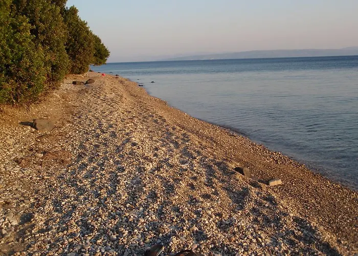 Haus Regina Apartment *